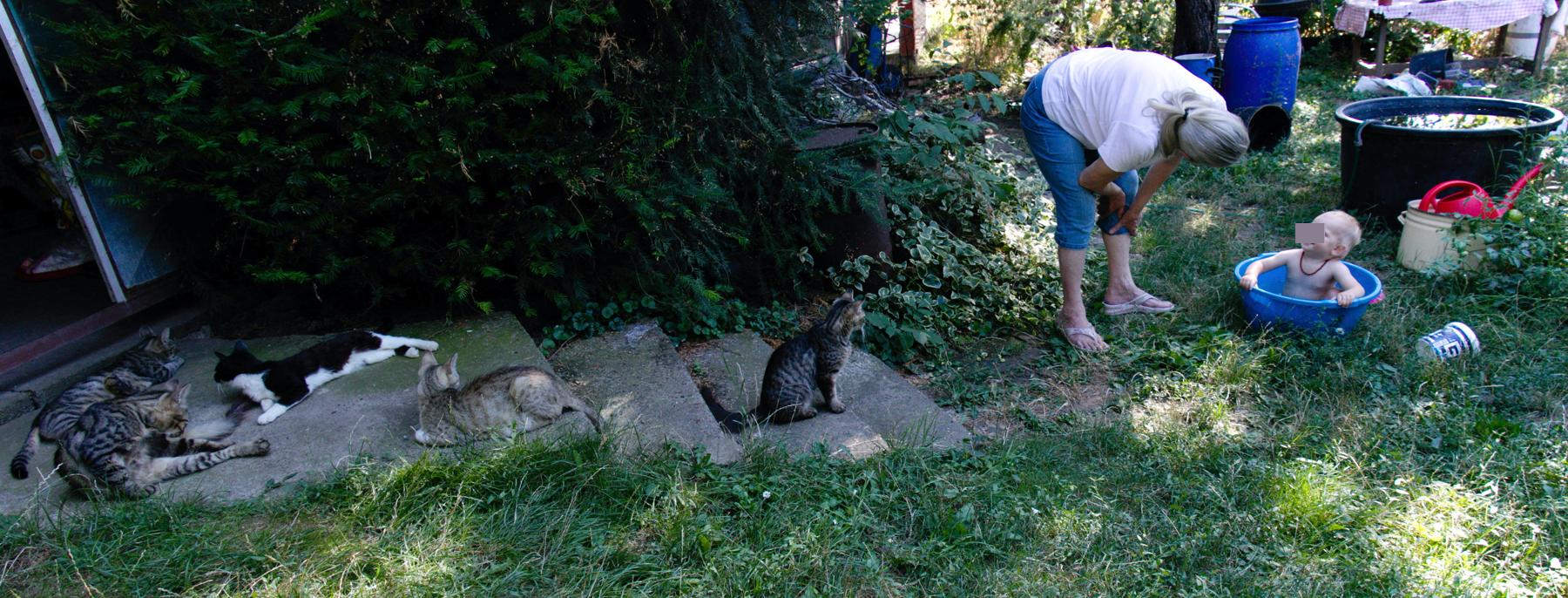 „код бабе на селу“